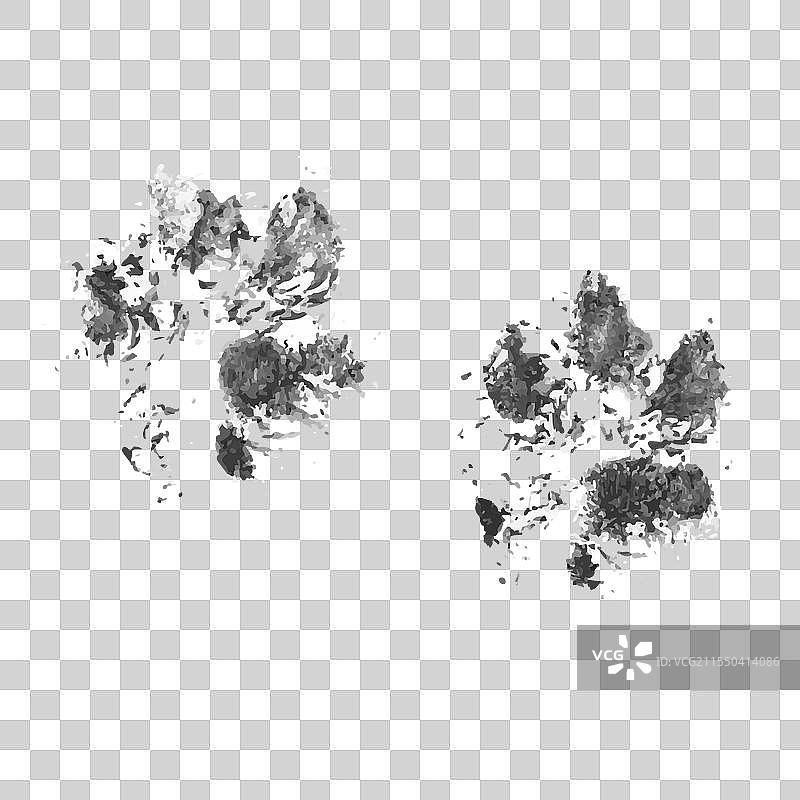 黑色宠物狗的污垢爪印图片素材