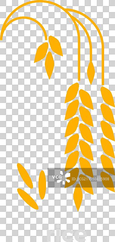 稻米作物颜色图标 农场 谷物图片素材