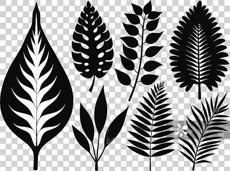 玫瑰和百合的6个花卉轮廓图标集图片素材