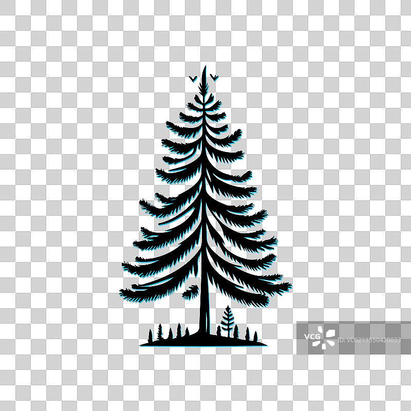 松树剪影，自然森林的概念图片素材