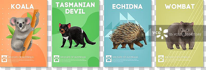 四幅垂直海报，展示野生动物的图像图片素材