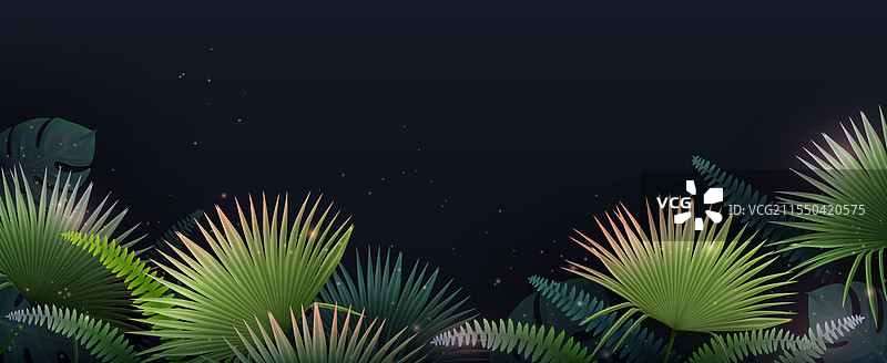 现实的热带叶子丛林与黑暗的夜晚图片素材
