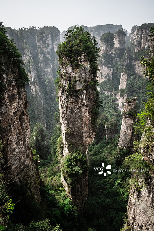 湖南张家界武陵源袁家界航拍峰林自然风光图片素材