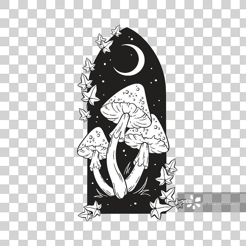 有毒蘑菇苍蝇伞手图片素材