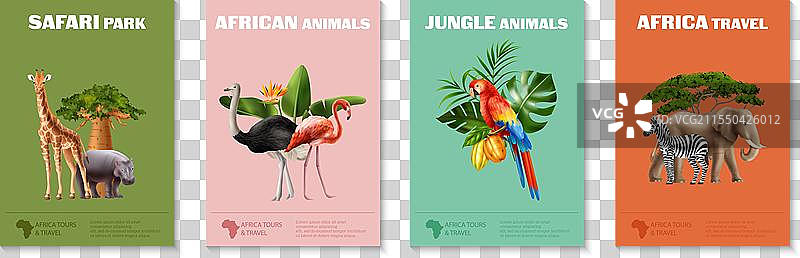 现实主义非洲动物海报套装四幅图片素材