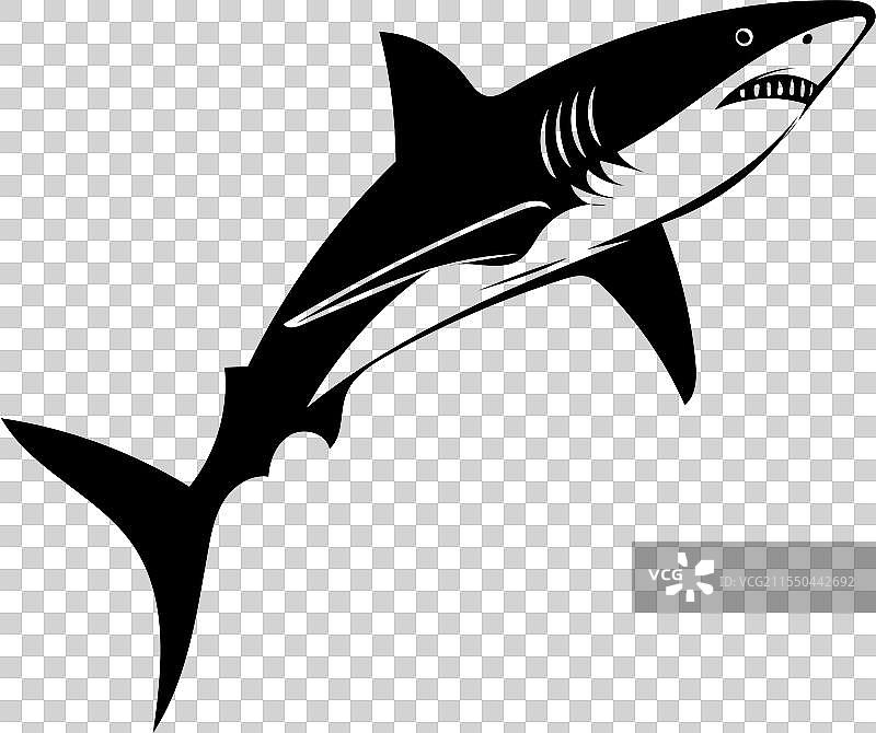 白色背景上的鲨鱼轮廓图标图片素材