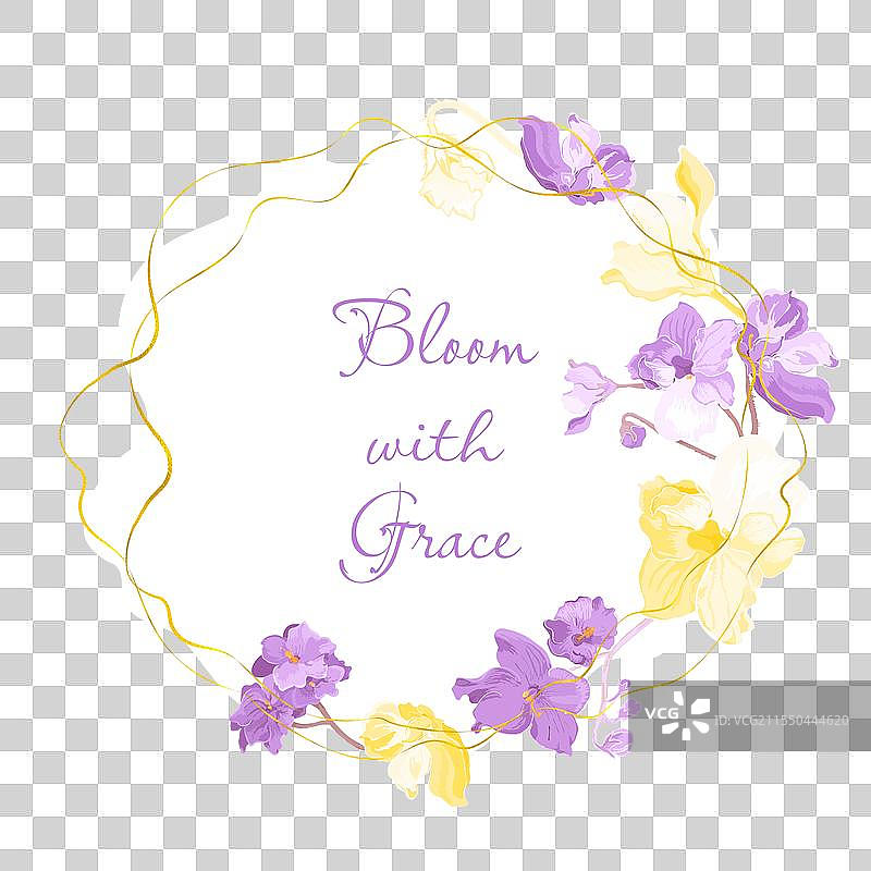 花园里盛开着娇嫩的紫罗兰图片素材