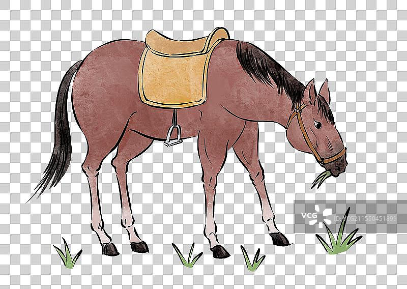 一匹马在吃草侧面视角动物手绘插画元素图片素材