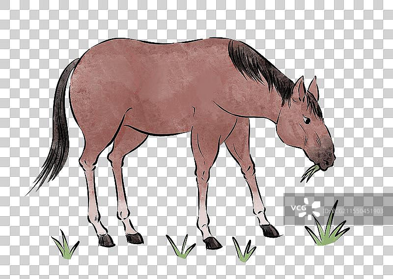 一匹马在吃草侧面视角动物手绘插画元素图片素材