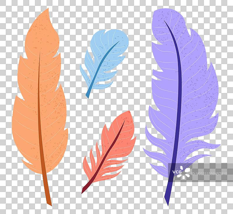 印度服装装饰用的羽毛套装图片素材