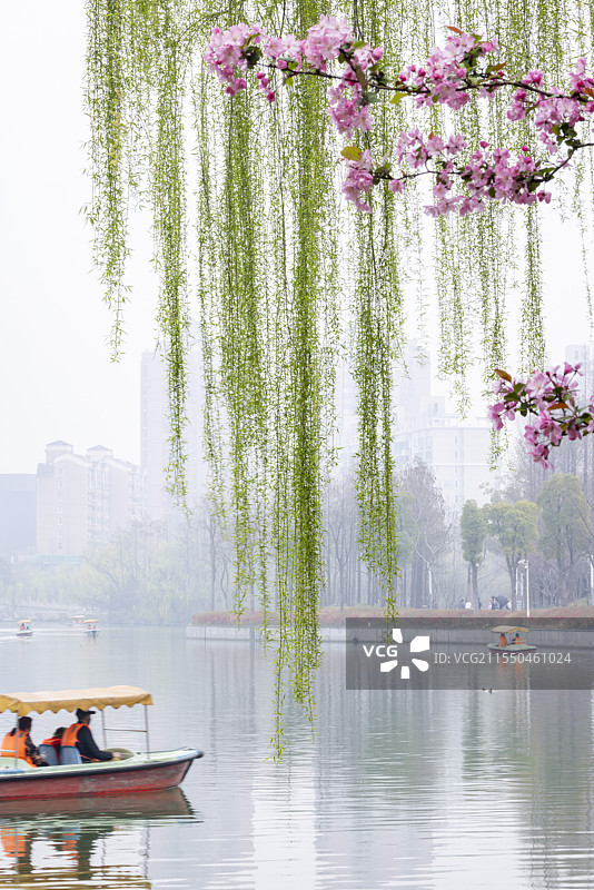 上海大宁公园花红柳绿春景图片素材