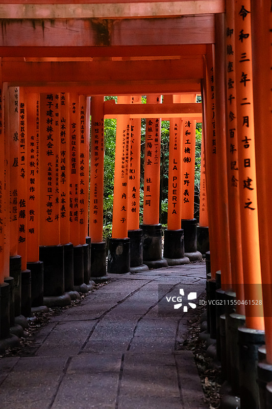 伏见稻荷千本鸟居图片素材
