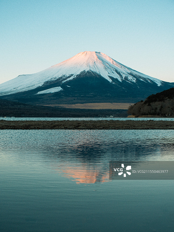 富士山日出时的粉色雪顶图片素材