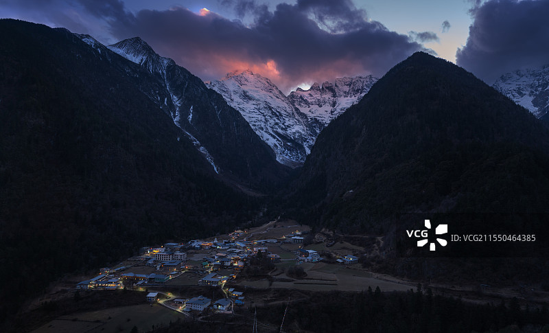 猫在雨崩图片素材