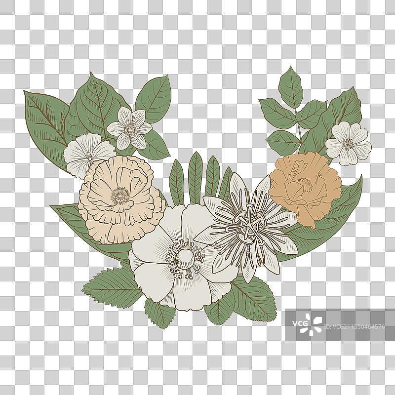 花卉和叶子的组合图片素材