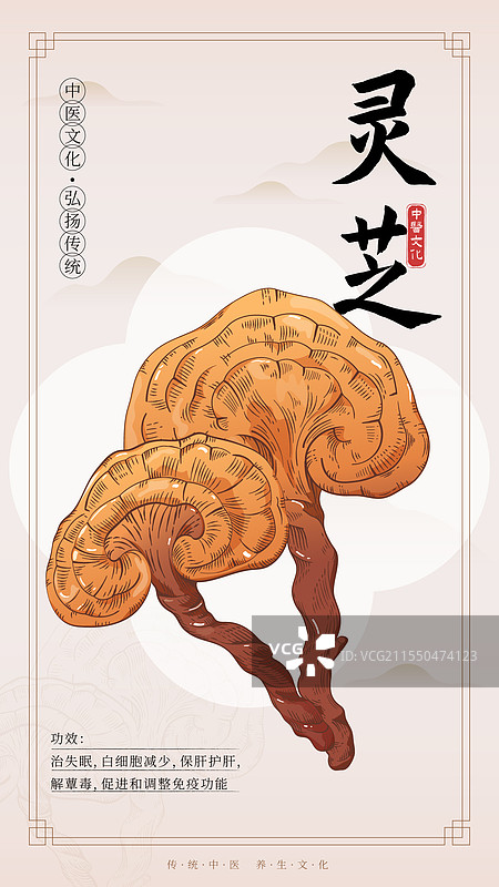 中医药灵芝插画海报图片素材