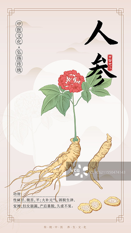 中医药人参插画海报图片素材