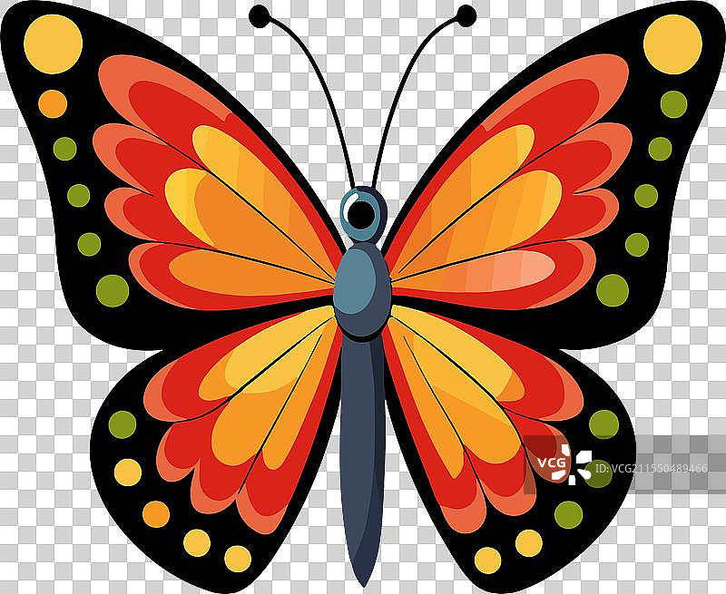 蝴蝶图标图片素材