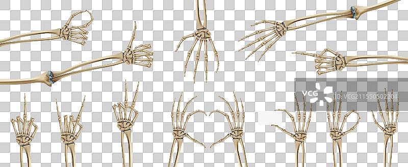 骷髅手图标集图片素材