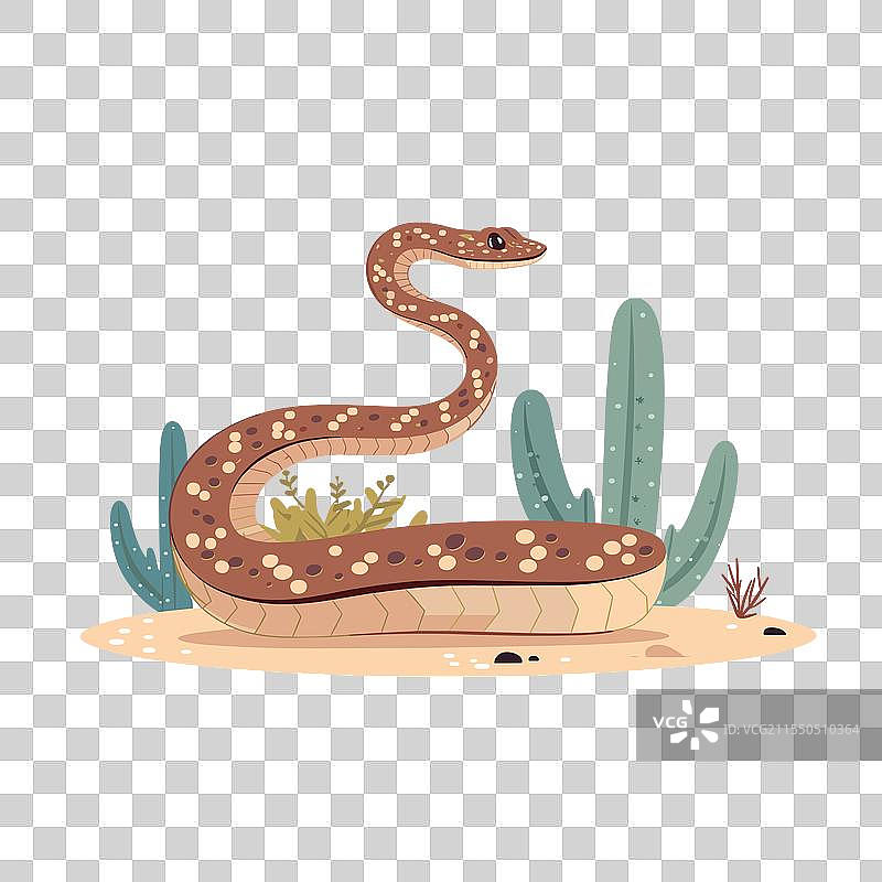 棕色蛇在沙漠中的仙人掌旁休息图片素材