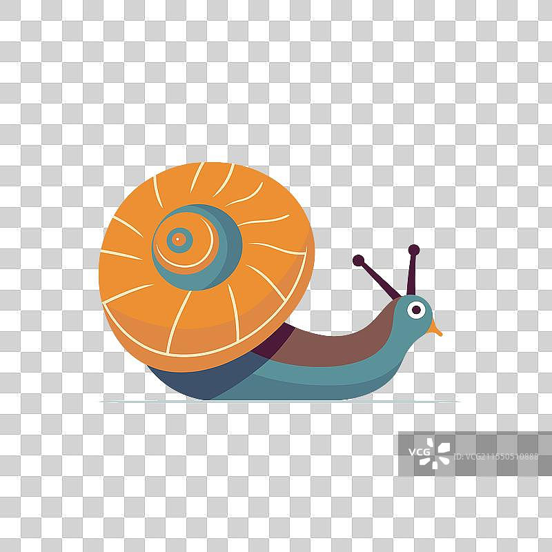 五彩斑斓的蜗牛缓慢地在平坦的地面上移动图片素材