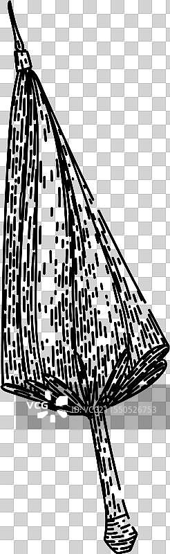 手绘时尚伞草图图片素材