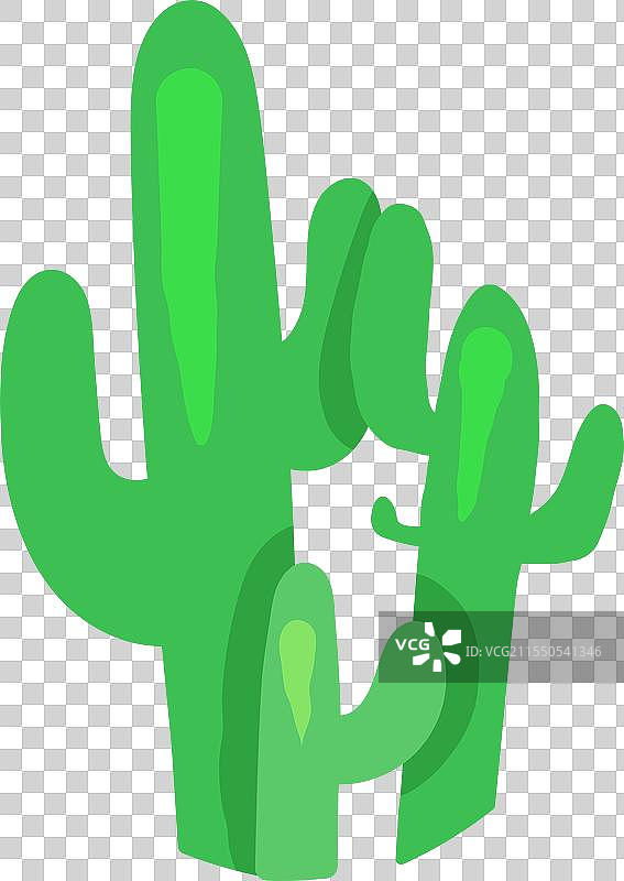 巨型沙漠仙人掌植物多肉植物图片素材