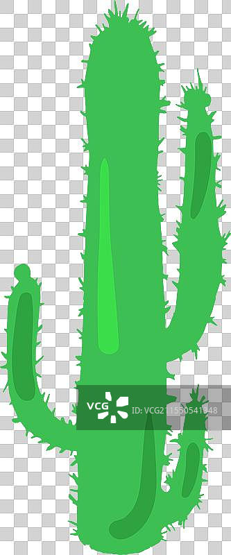 巨型沙漠仙人掌植物多肉植物图片素材