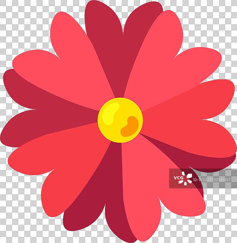 红色非洲菊花用于头饰和花环图片素材