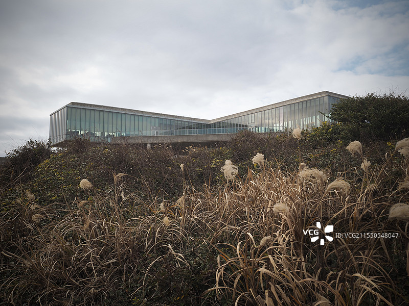 济州岛涉地可支 安藤忠雄Glass House远景图片素材