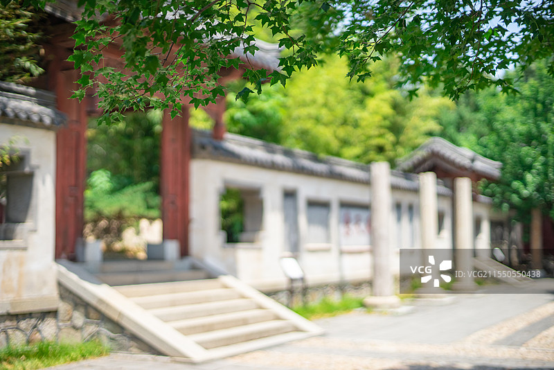 中国山东泰安著名景点泰山旅行旅游目的地风景区，泰山第一行宫岱庙，随墙门和绿色的枫树，户外白昼无人图像图片素材