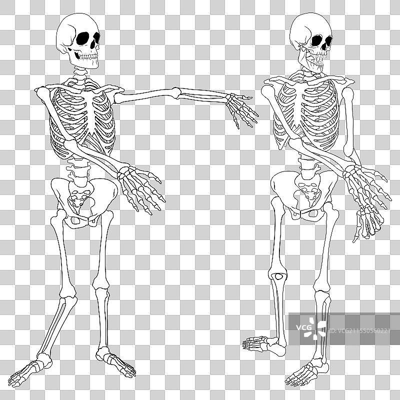 搞笑的僵尸骷髅艺术角色图片素材