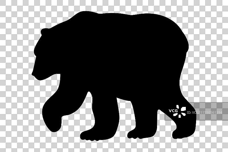 走动的灰熊剪影图片素材