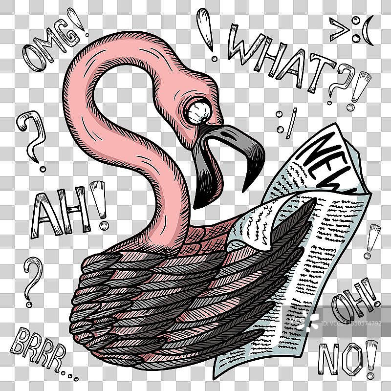 手绘卡通与火烈鸟图片素材