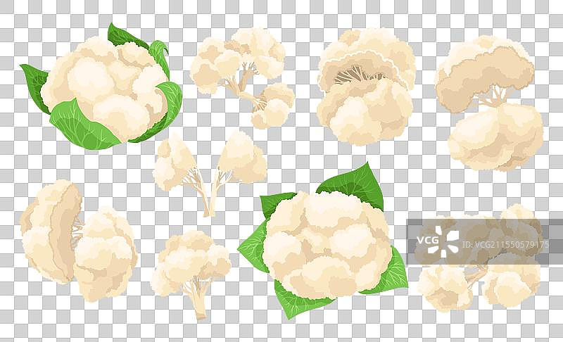 花椰菜和卷心菜图标集蔬菜图片素材