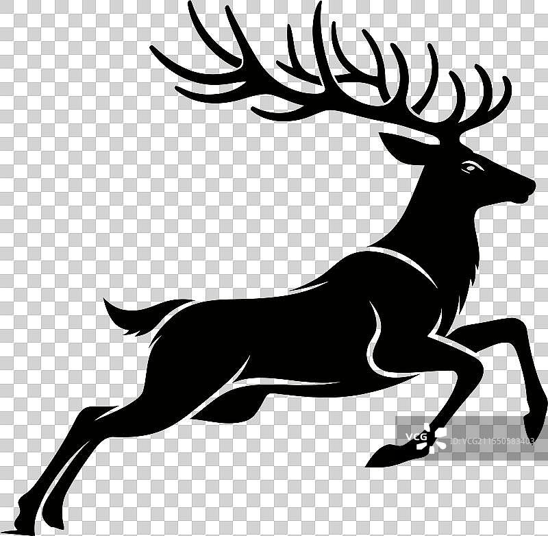 带角的驯鹿剪影图片素材