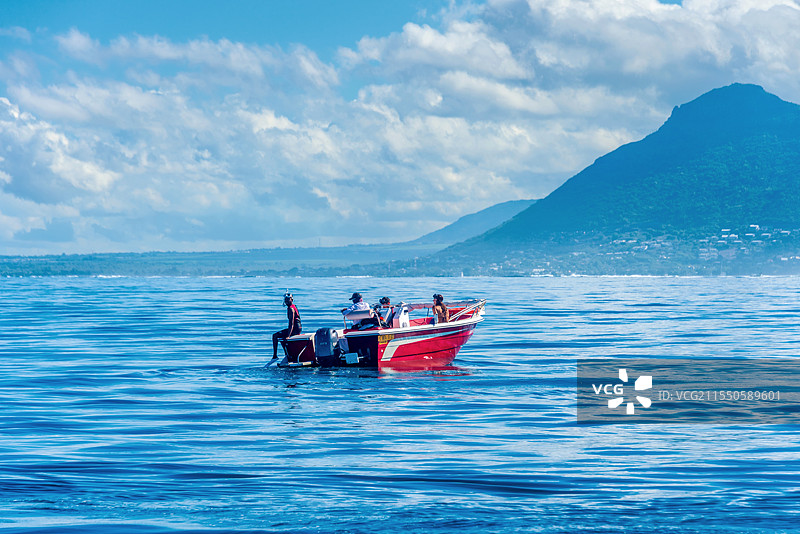 非洲毛里求斯海豚湾乘快艇追海豚图片素材