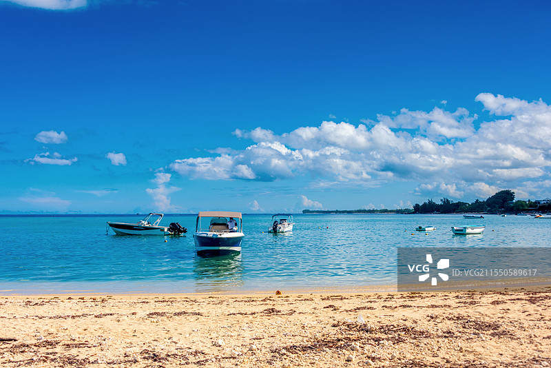 非洲毛里求斯海豚湾乘快艇追海豚图片素材