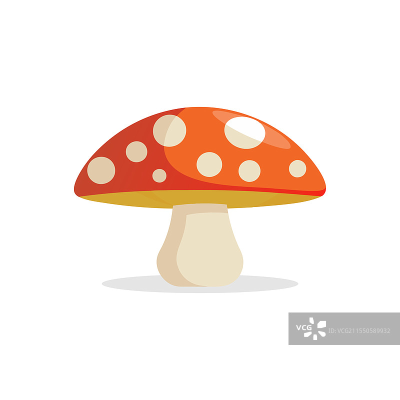 孤立的蘑菇，平放在白色背景上图片素材