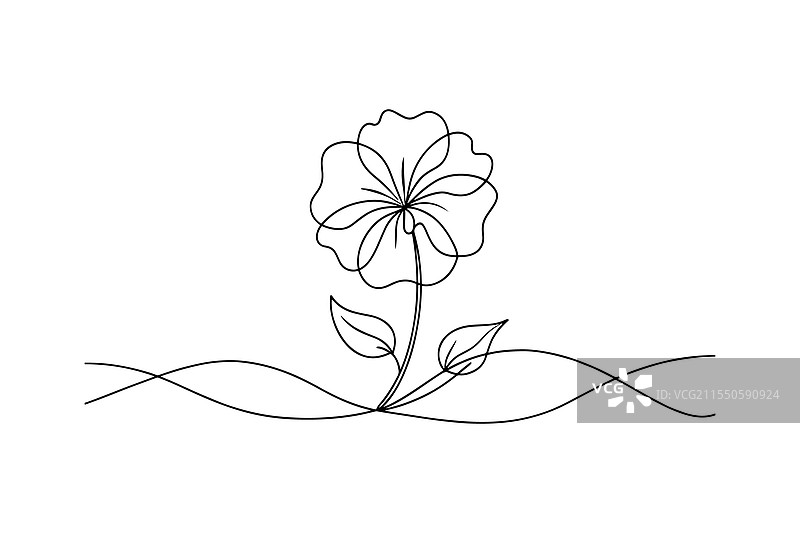 长春花连续线条艺术平面图图片素材