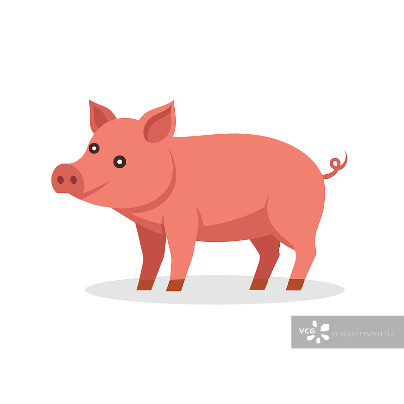 白色背景上的猪侧面平面插图图片素材
