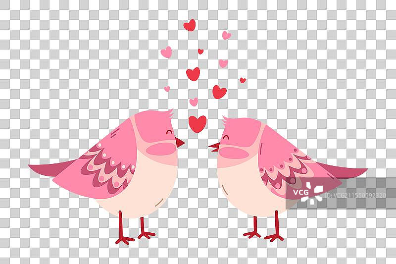 两个粉色小鸟相爱，情人节概念图片素材