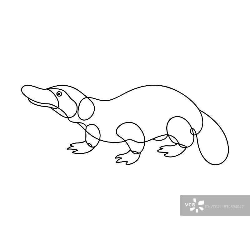 白色背景上的鸭嘴兽动物连续线条艺术图片素材