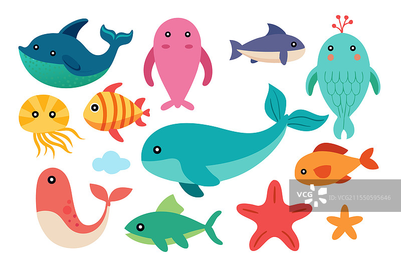 海洋动物 水下 水生生物 海洋生物图片素材