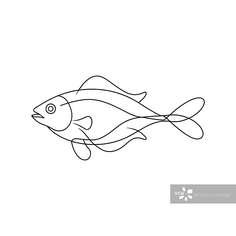 白色背景上的单线艺术比目鱼图片素材