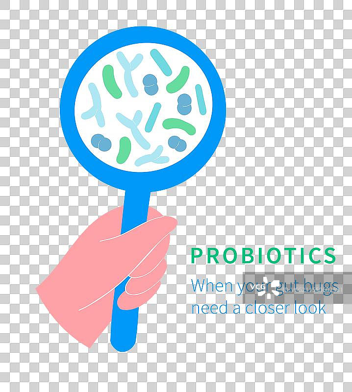 益生菌与肠道微生物组图片素材