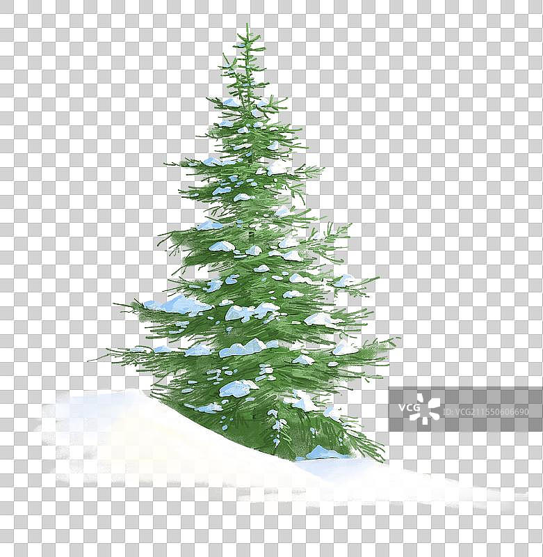 冬天的松树图片素材