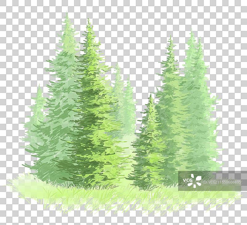 几棵松树图片素材