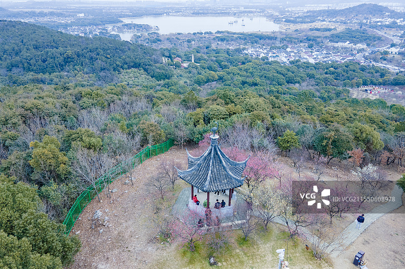 航拍苏州梅花含苞待放的香雪海景区图片素材