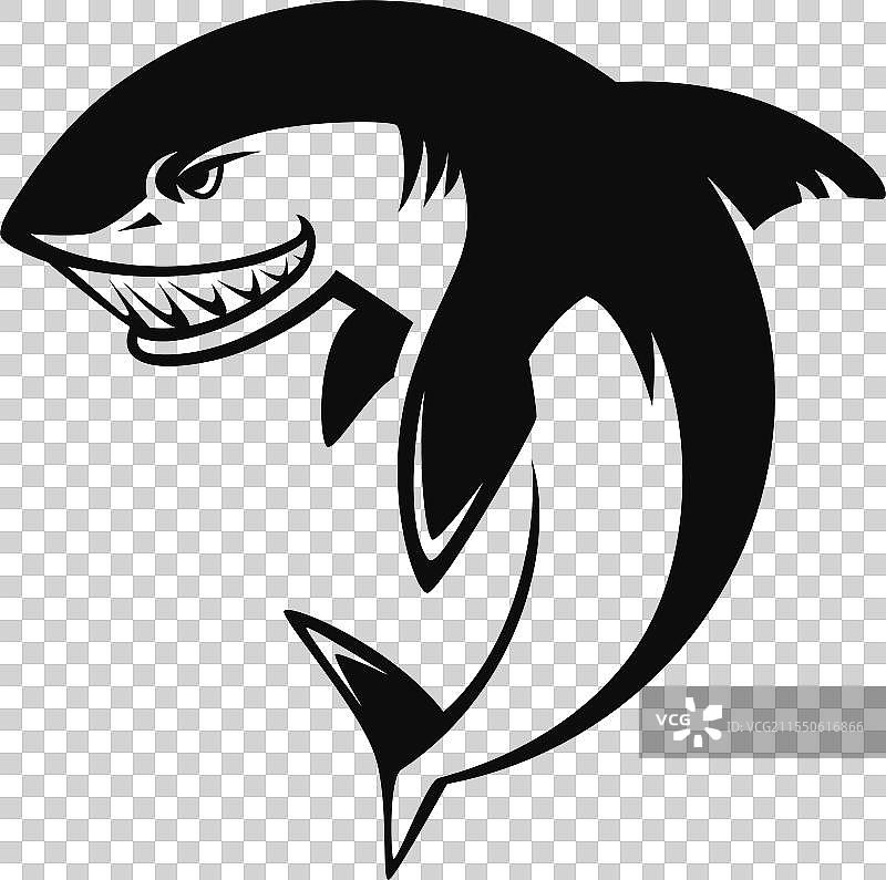 一只张嘴的黑白鲨鱼图片素材